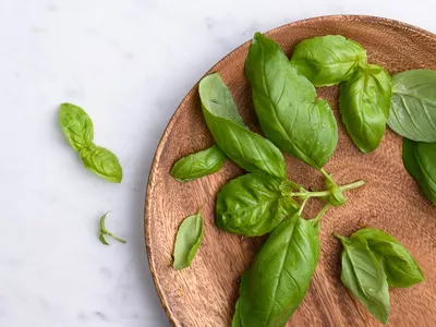 Basil