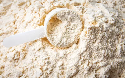 Whey protein powder