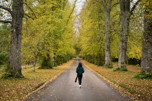 Should you walk after eating?