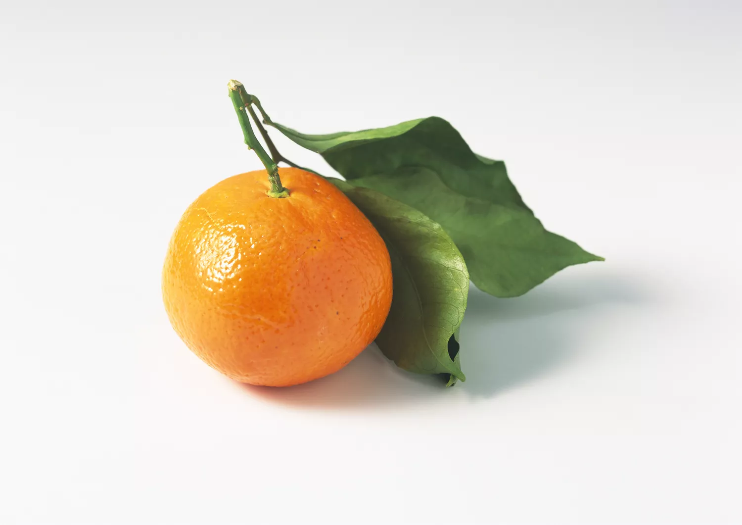 clementine