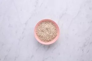 Barley
