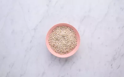 Barley