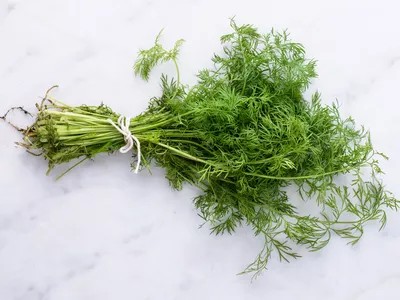 Dill 