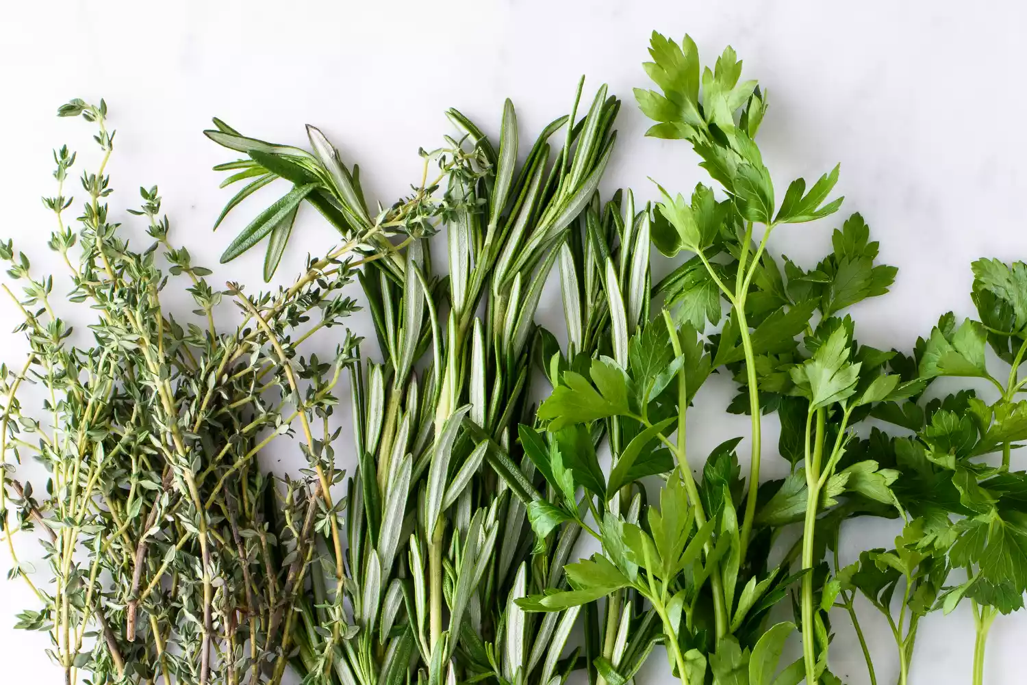 Herbs
