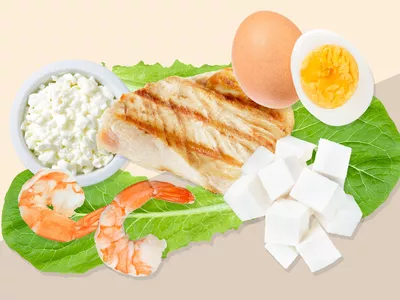 high protein diet