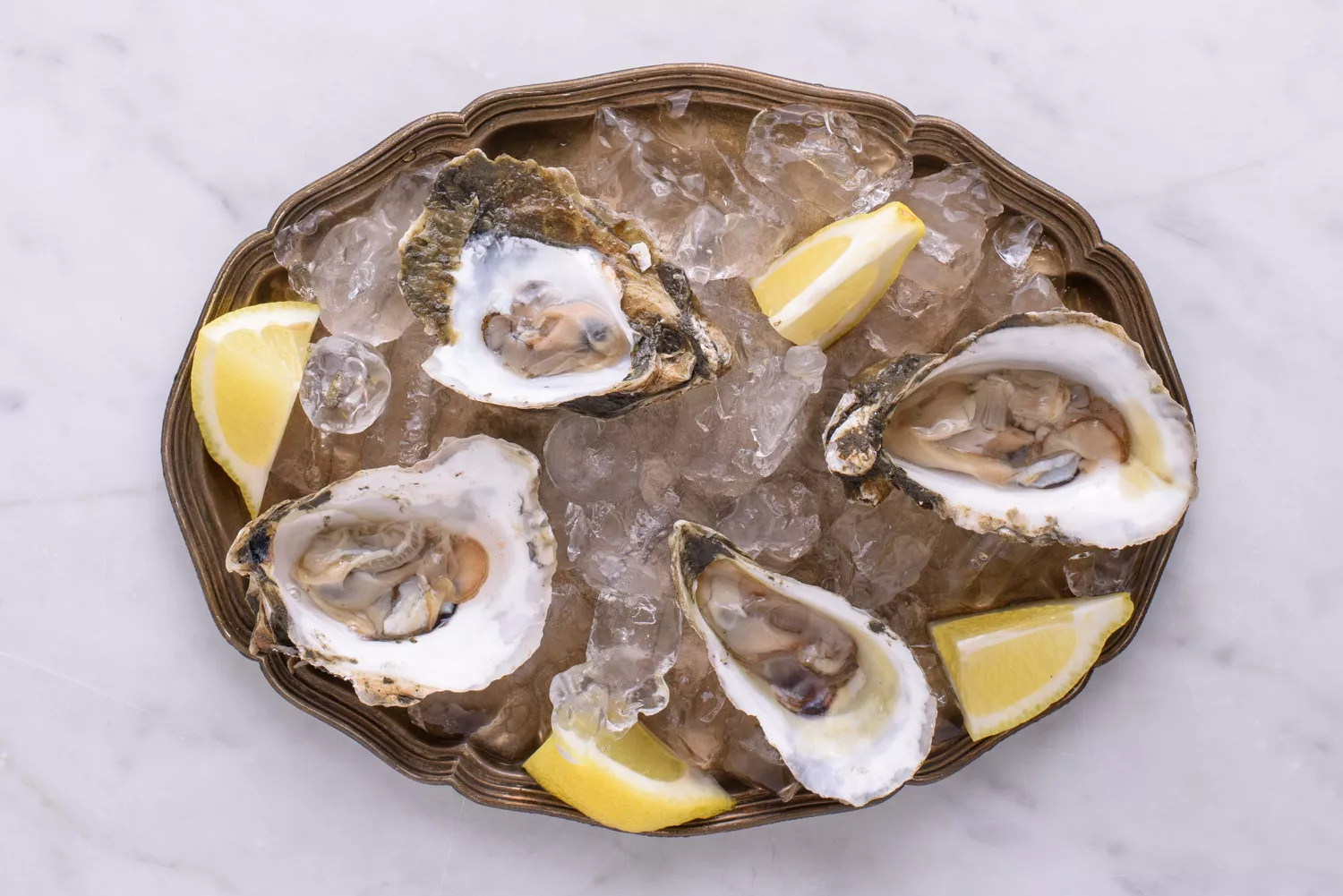 Oysters