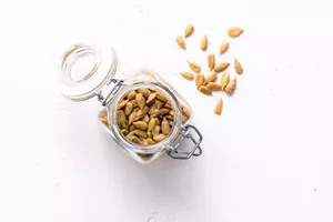 Sunflower Seed