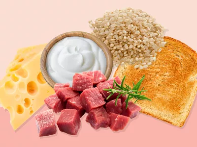 bodybuilding diet